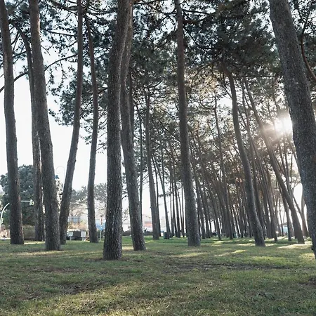 Διαμέρισμα Samil Playa *
