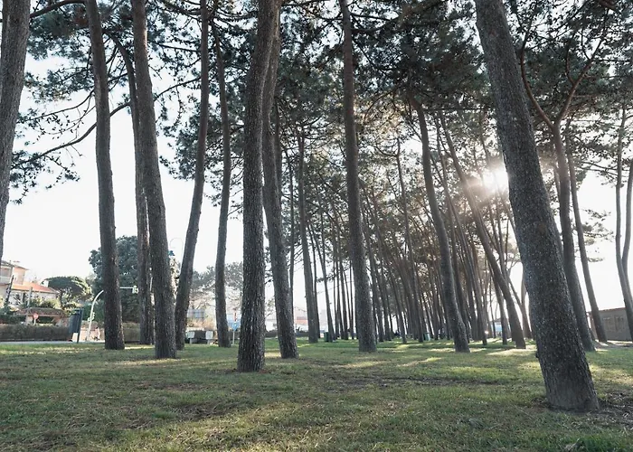 Apartmán Samil Playa *